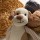 Knit Toys