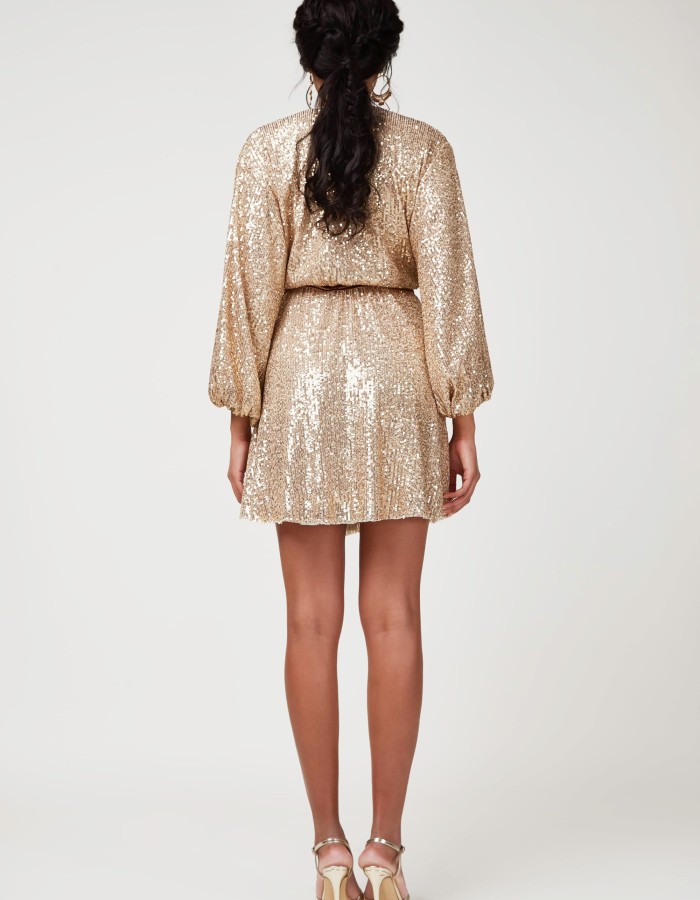 Party Dress 2