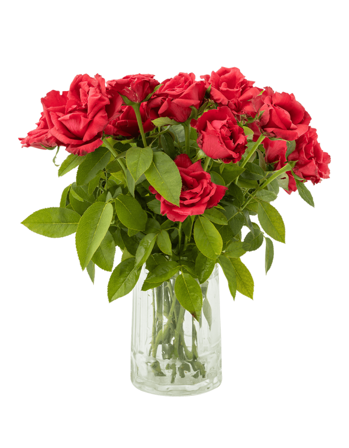 Vase Flowers 01