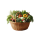 Produce