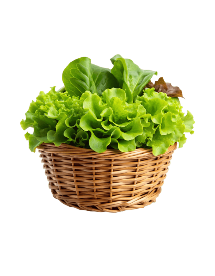 Lettuce